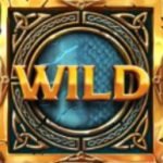 Wild symbol of Double Dragon free slot game 