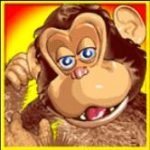 Symbol wild of Jungle Monkeys casino slot game 