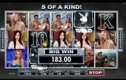 Win on Playboy slot machine