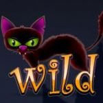Wild symbol of Mad 4 Halloween casino slot game 