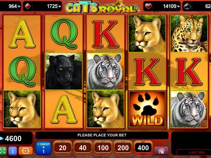 No deposit game Cats Royal online