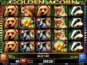 Play free slot game Golden Acorn
