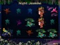 Online slot game Night Jasmine