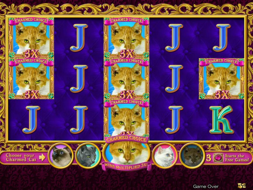 Slot machine Purrfect by High 5 Games