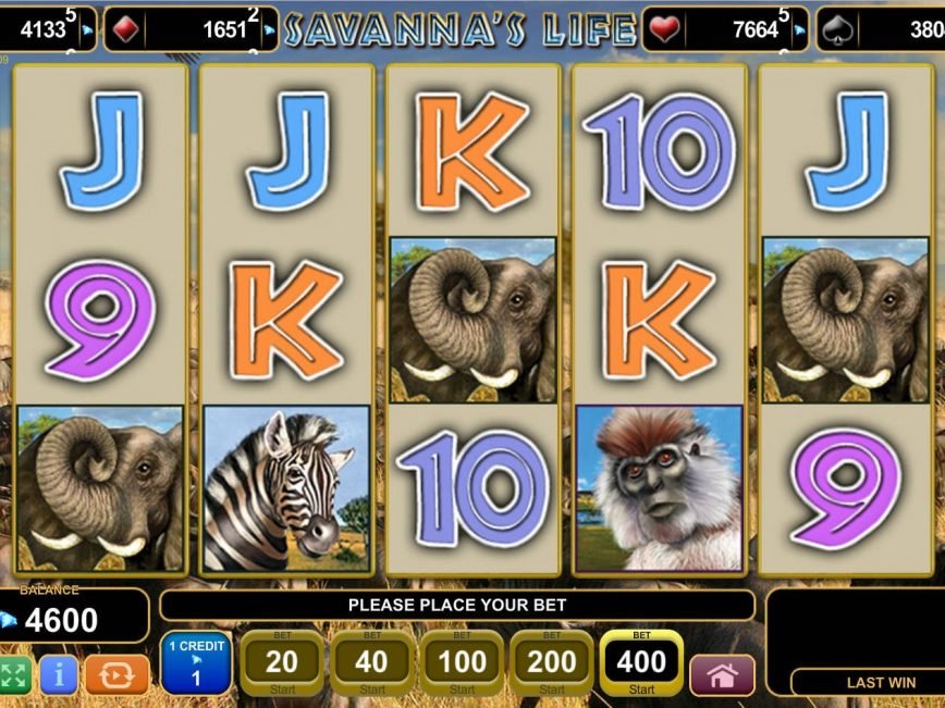 A picture of the Savanna´s Life online game