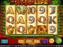 Casino game The Wild Life no deposit
