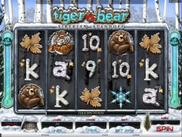 Spin slot game Tiger vs. Bear